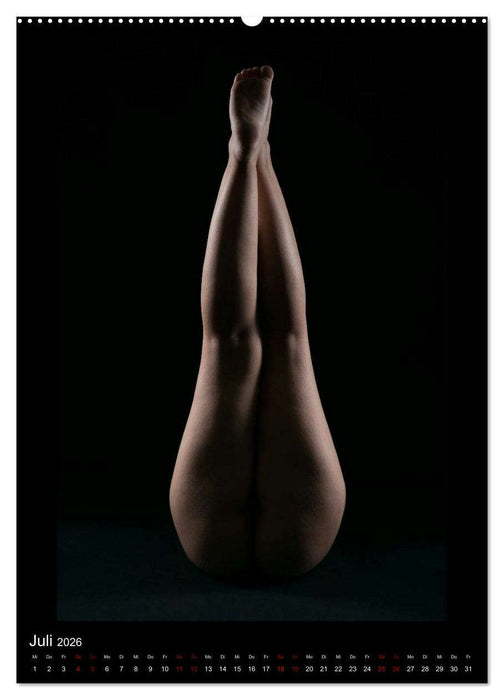 Ein Lichtstrahl wirft auch Schatten! (CALVENDO Premium Wandkalender 2026)