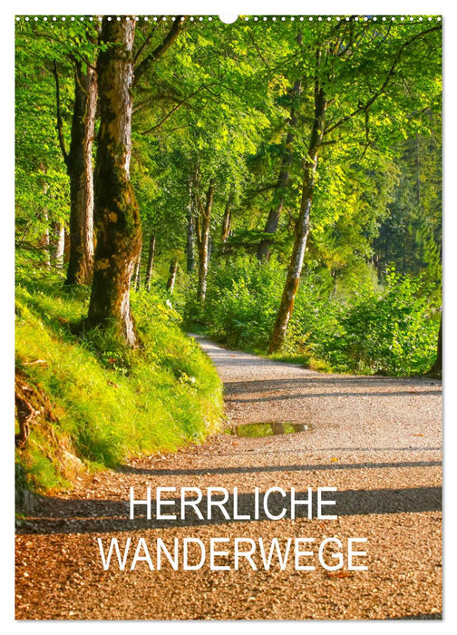 Herrliche Wanderwege (CALVENDO Wandkalender 2026)