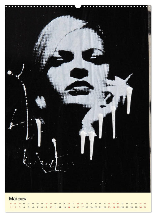 Hamburg StreetArt (CALVENDO Premium Wandkalender 2026)