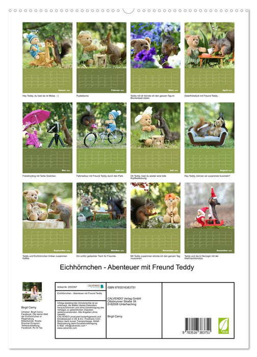 Eichhörnchen - Abenteuer mit Freund Teddy (CALVENDO Premium Wandkalender 2026)