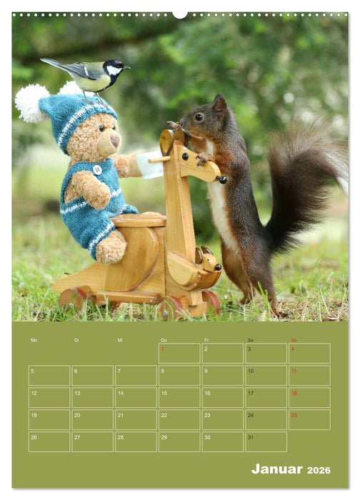 Eichhörnchen - Abenteuer mit Freund Teddy (CALVENDO Premium Wandkalender 2026)