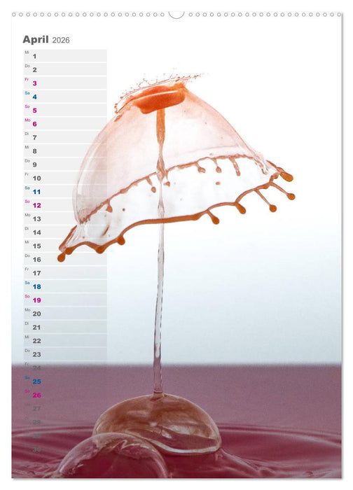 Farbenfreudig (CALVENDO Wandkalender 2026)