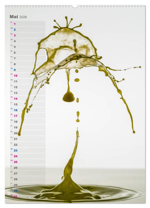 Farbenfreudig (CALVENDO Wandkalender 2026)