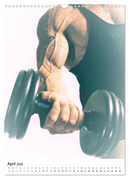 Fitnesskalender (CALVENDO Wandkalender 2026)