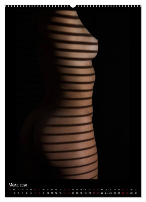Ein Lichtstrahl wirft auch Schatten! (CALVENDO Wandkalender 2026)