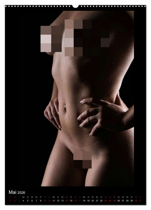 Ein Lichtstrahl wirft auch Schatten! (CALVENDO Wandkalender 2026)