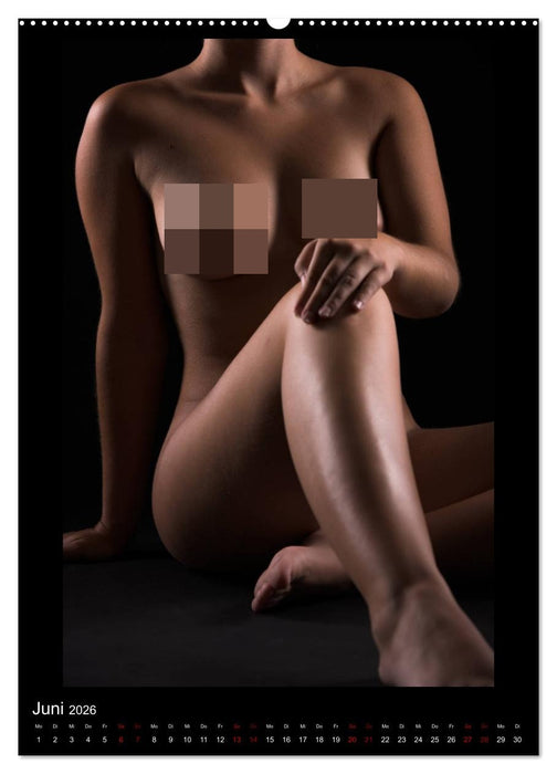 Ein Lichtstrahl wirft auch Schatten! (CALVENDO Wandkalender 2026)