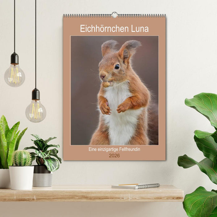 Eichhörnchen Luna (CALVENDO Wandkalender 2026)