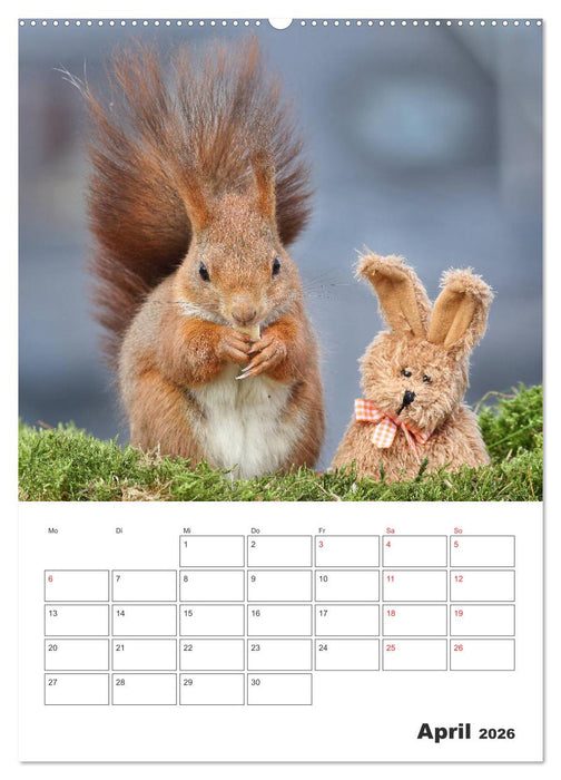 Eichhörnchen Luna (CALVENDO Wandkalender 2026)