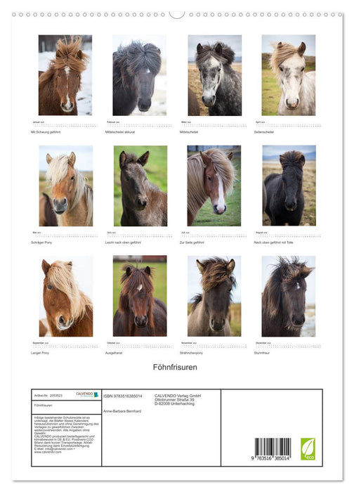 Föhnfrisuren (CALVENDO Premium Wandkalender 2026)