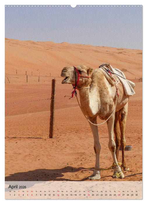 Zauberhafter Oman (CALVENDO Premium Wandkalender 2026)