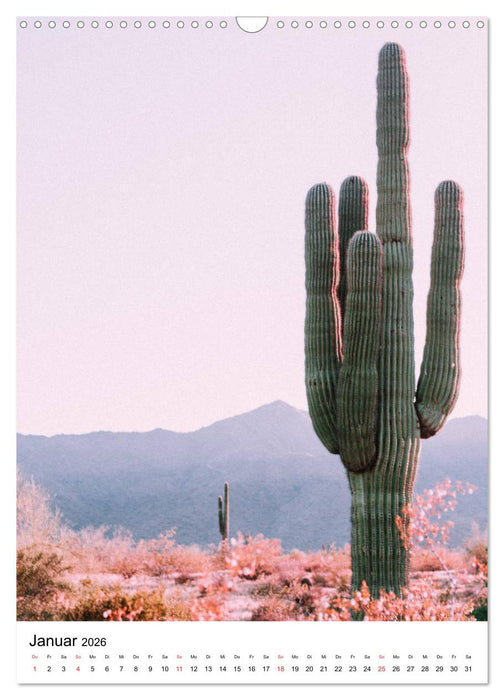 Kakteengewächse (CALVENDO Wandkalender 2026)