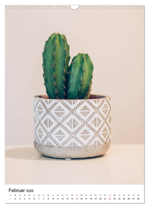 Kakteengewächse (CALVENDO Wandkalender 2026)