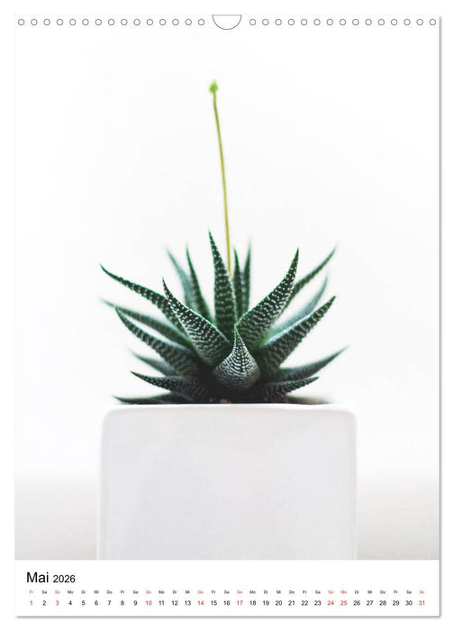 Kakteengewächse (CALVENDO Wandkalender 2026)