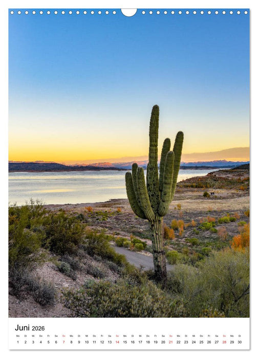 Kakteengewächse (CALVENDO Wandkalender 2026)