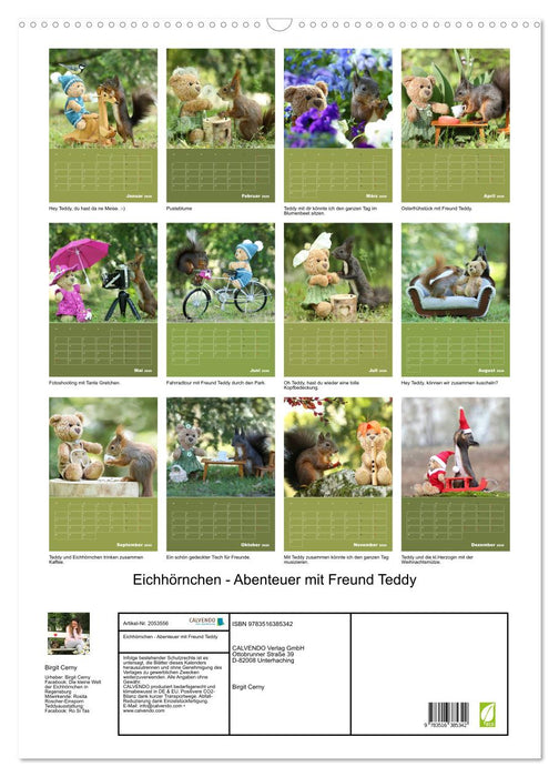Eichhörnchen - Abenteuer mit Freund Teddy (CALVENDO Wandkalender 2026)