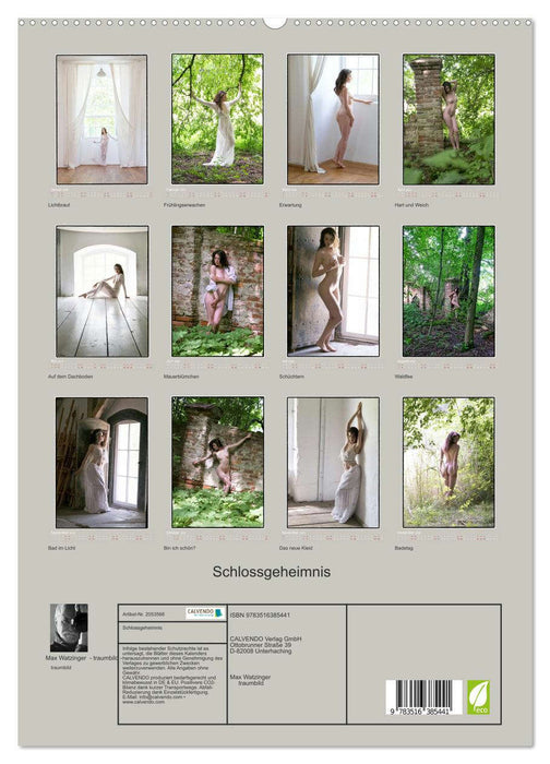 Schlossgeheimnis (CALVENDO Premium Wandkalender 2026)