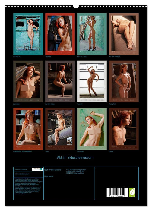 Akt im Industriemuseum (CALVENDO Premium Wandkalender 2026)