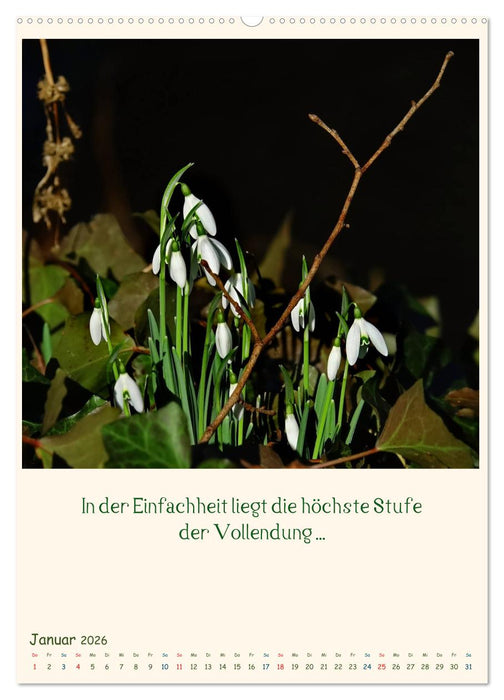 Mit Blumen durchs Jahr (CALVENDO Premium Wandkalender 2026)