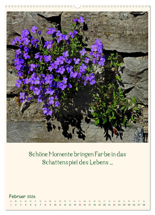 Mit Blumen durchs Jahr (CALVENDO Premium Wandkalender 2026)