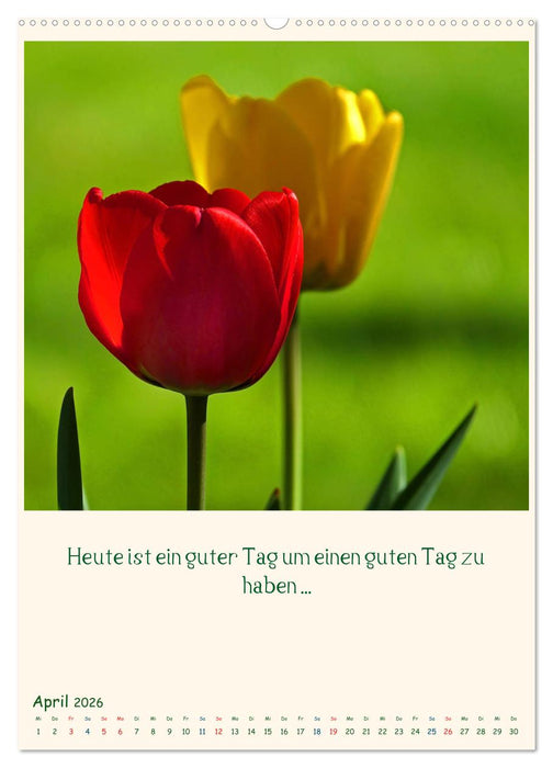 Mit Blumen durchs Jahr (CALVENDO Premium Wandkalender 2026)