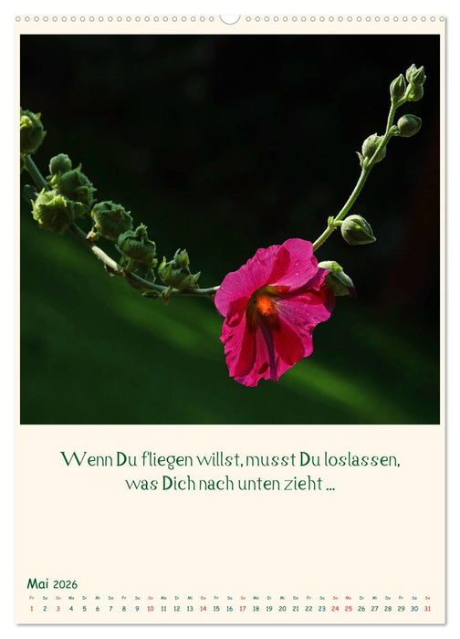 Mit Blumen durchs Jahr (CALVENDO Premium Wandkalender 2026)
