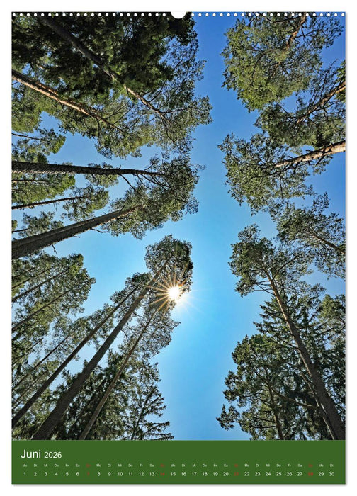 Schwarzwald Nord (CALVENDO Wandkalender 2026)