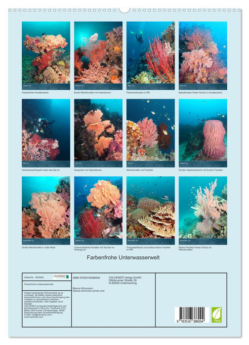 Farbenfrohe Unterwasserwelt (CALVENDO Premium Wandkalender 2026)