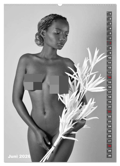 EROTIK FOTOART SEXY GIRLS (CALVENDO Premium Wandkalender 2026)