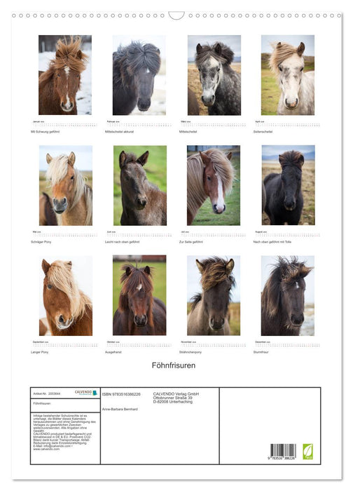 Föhnfrisuren (CALVENDO Wandkalender 2026)