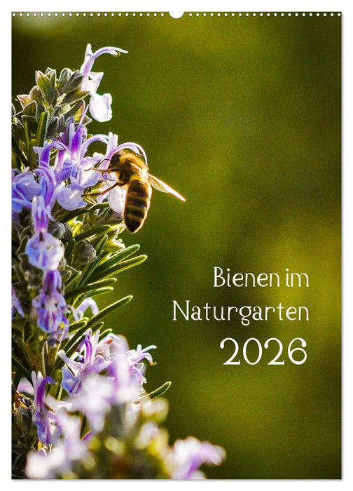 Bienen im Naturgarten (CALVENDO Wandkalender 2026)
