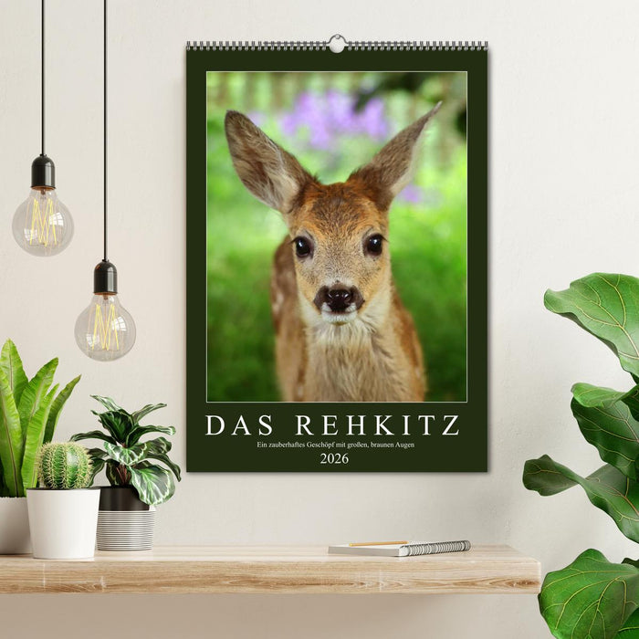 Das Rehkitz, ein zauberhaftes Geschöpf mit großen, braunen Augen (CALVENDO Wandkalender 2026)