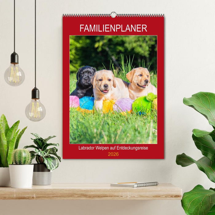 Familienplaner - Labrador Welpen entdecken die Welt (CALVENDO Wandkalender 2026)