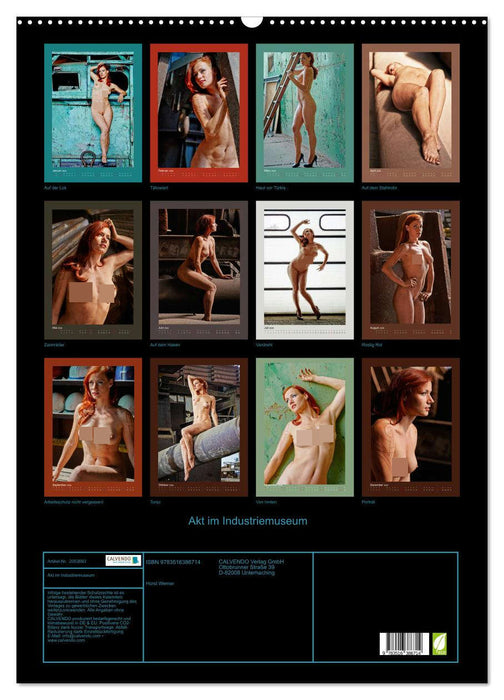 Akt im Industriemuseum (CALVENDO Wandkalender 2026)