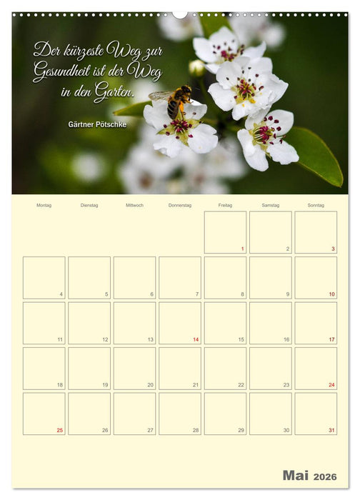 Gartenliebe (CALVENDO Wandkalender 2026)