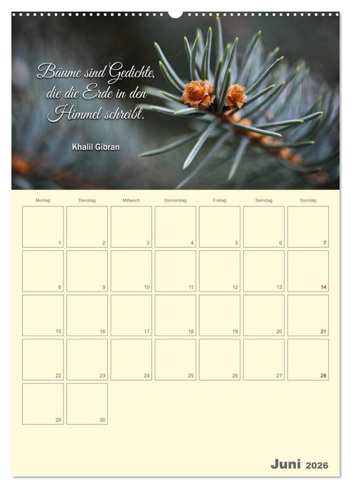 Gartenliebe (CALVENDO Wandkalender 2026)