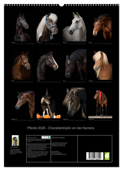 Pferde 2026 - Charakterköpfe vor der Kamera (CALVENDO Premium Wandkalender 2026)