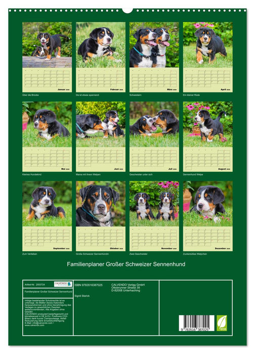 Familienplaner Großer Schweizer Sennenhund (CALVENDO Premium Wandkalender 2026)