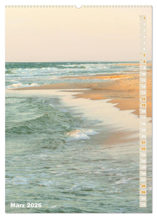 Kurische Nehrung – Am langen, weichen Ostsee-Strand (CALVENDO Premium Wandkalender 2026)