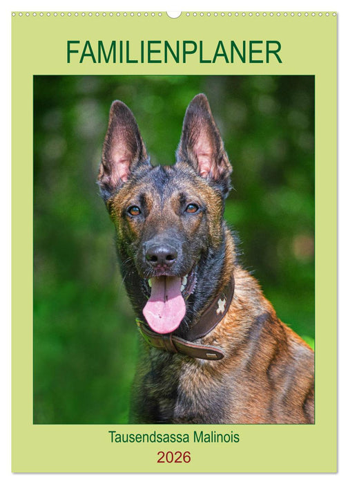 Familienplaner Tausendsassa Malinois (CALVENDO Wandkalender 2026)