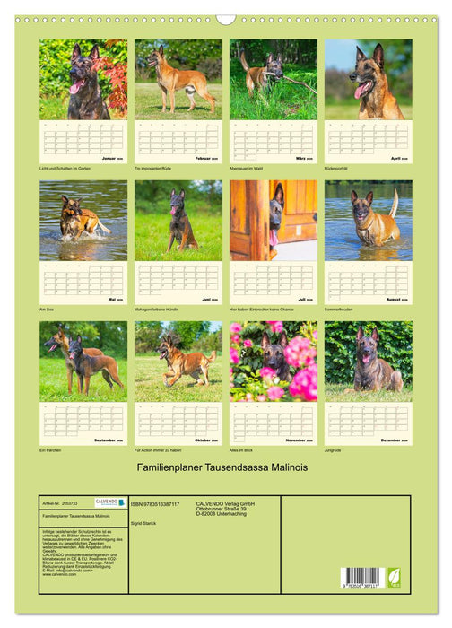 Familienplaner Tausendsassa Malinois (CALVENDO Wandkalender 2026)