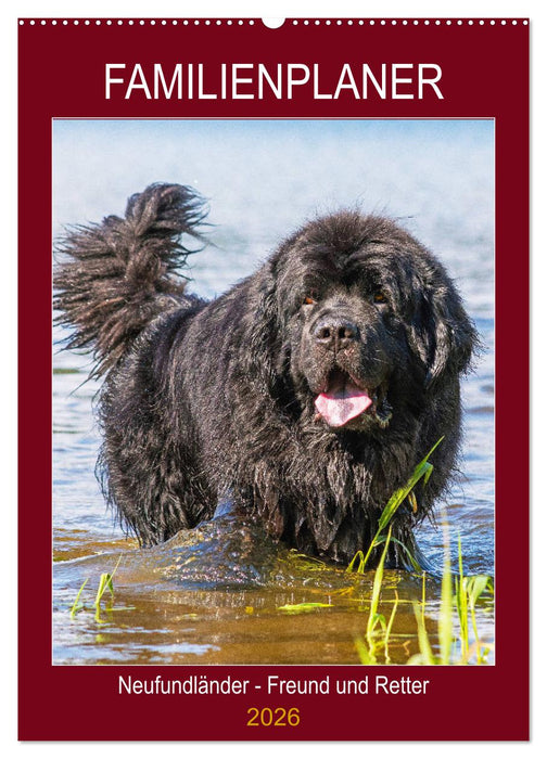Familienplaner Neufundländer - Freund und Retter (CALVENDO Wandkalender 2026)