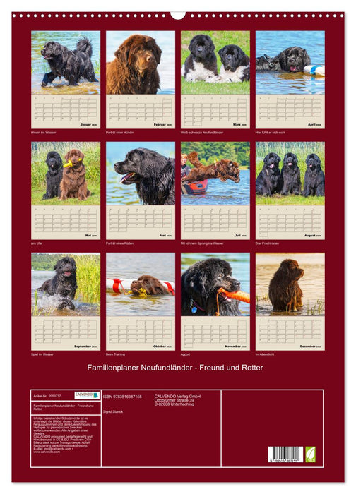 Familienplaner Neufundländer - Freund und Retter (CALVENDO Wandkalender 2026)