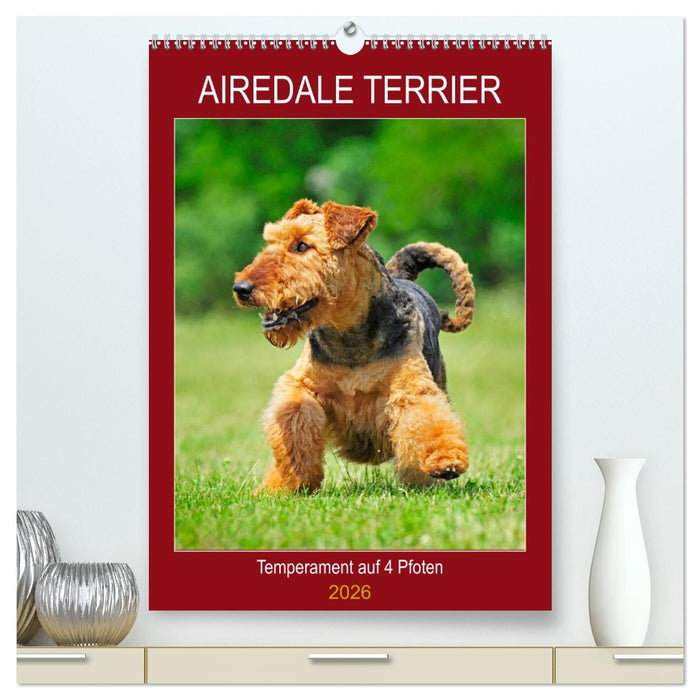 Airedale Terrier - Temperament auf 4 Pfoten (CALVENDO Premium Wandkalender 2026)