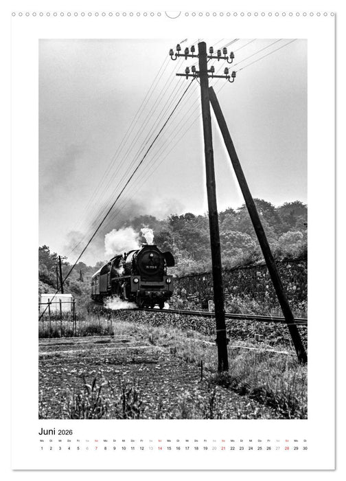 Dampfzüge vor 40 Jahren (CALVENDO Premium Wandkalender 2026)
