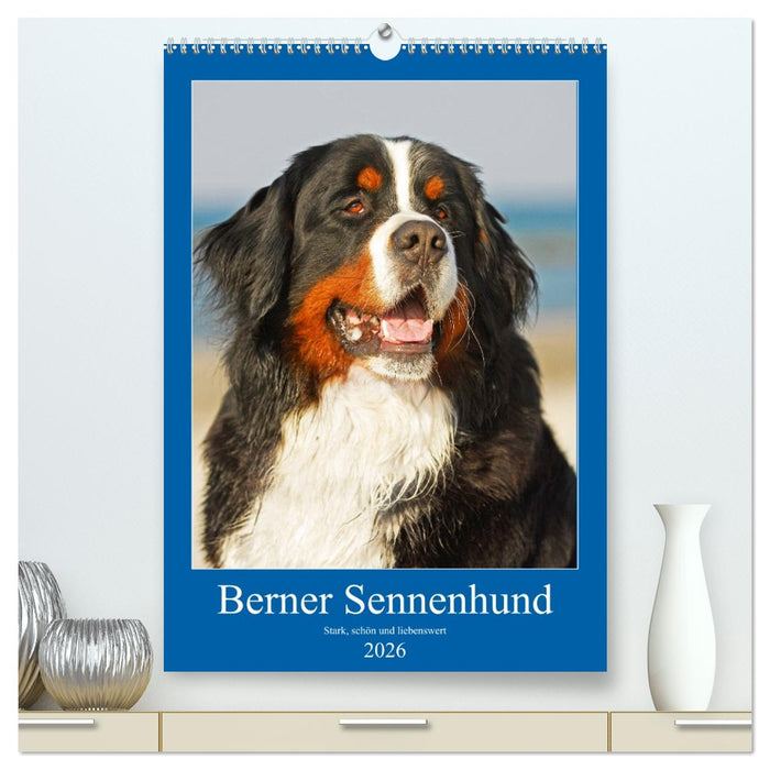 Berner Sennenhund - stark , schön und liebenswert (CALVENDO Premium Wandkalender 2026)