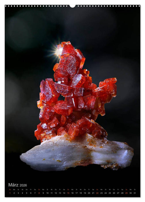 ZAUBERHAFTE MINERALIEN designed by nature (CALVENDO Premium Wandkalender 2026)