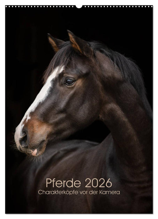 Pferde 2026 - Charakterköpfe vor der Kamera (CALVENDO Wandkalender 2026)