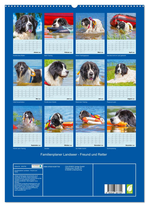 Familienplaner Landseer - Freund und Retter (CALVENDO Premium Wandkalender 2026)