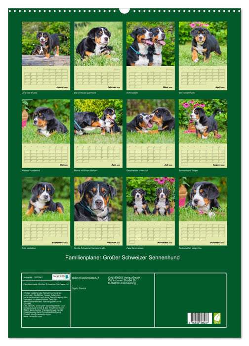 Familienplaner Großer Schweizer Sennenhund (CALVENDO Wandkalender 2026)